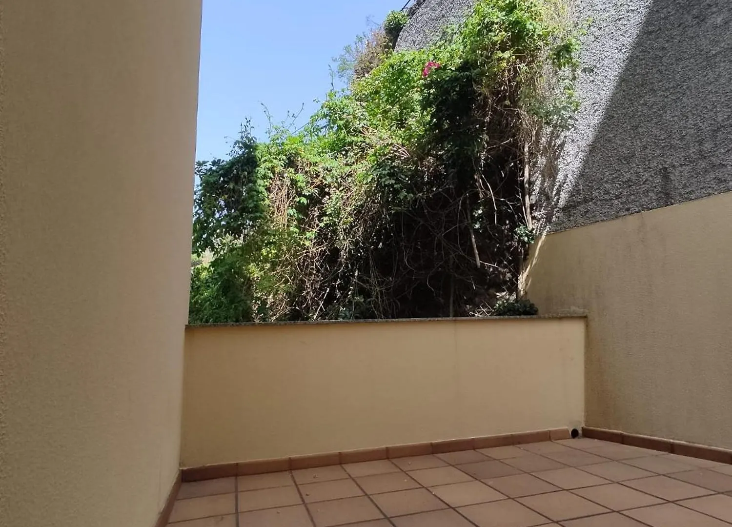 Homestay Sol E Mar Apartment Ponta do Sol